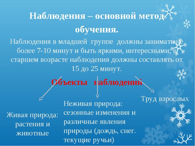 Организация прогулки. Презентация