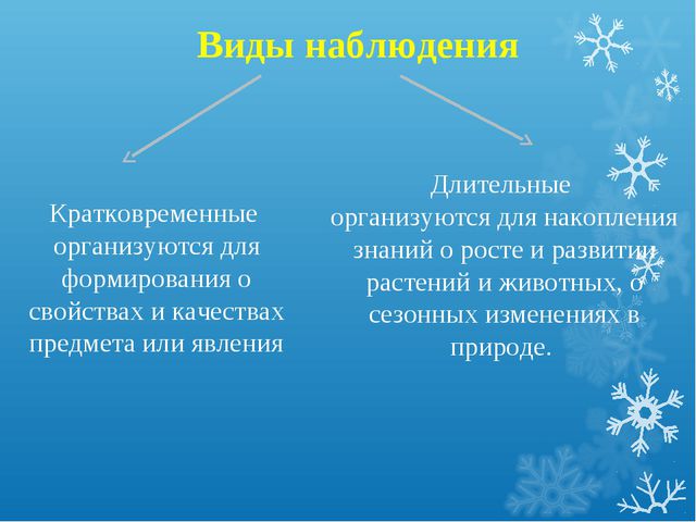 Организация прогулки. Презентация