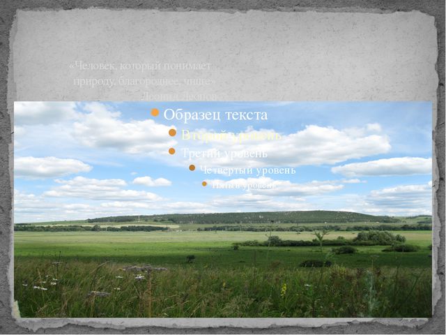 Презентация для занятий по экологическому воспитанию детей дошкольного возраста. Красота лесов