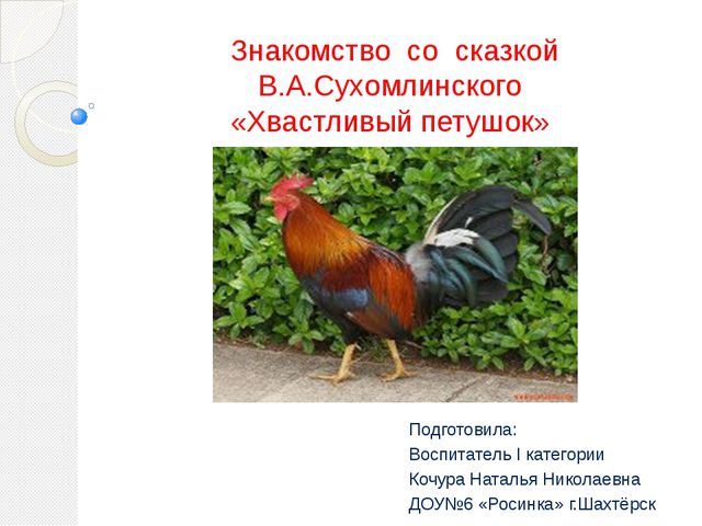 Знакомство со сказкой В. А. Сухомлинского. Хвастливый петушок
