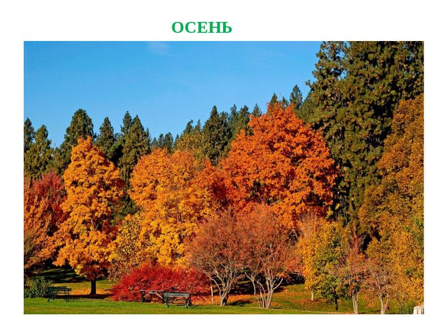 Презентация по ФЭМП для средней группы. Число 4
