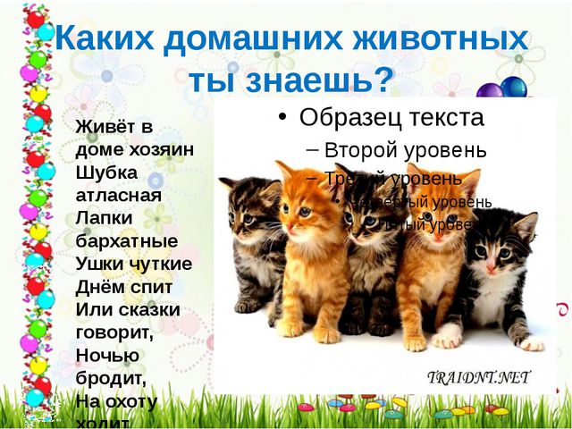 Составляем рассказ. Как мы нашли щенка