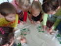 DSC01644.JPG