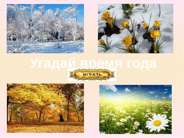 Викторина - дидактическая игра. Помоги Винни-Пуху угадать время года (3-5лет)