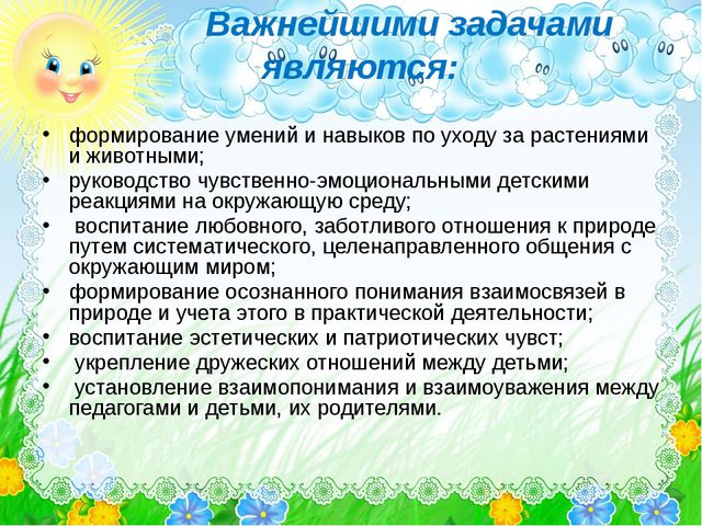 Экологическое воспитание дошкольников. Педагогический совет