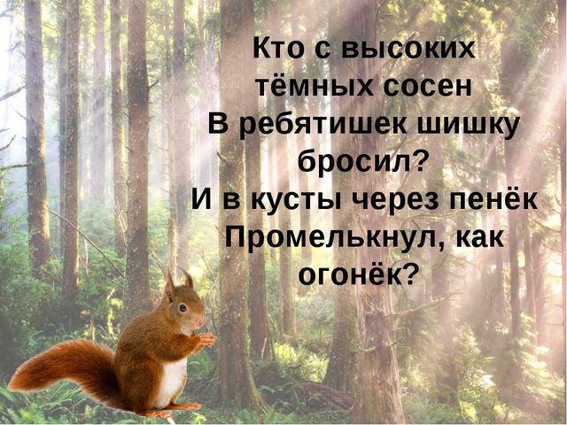 Ознакомлению с окружающим миром. Царство животных