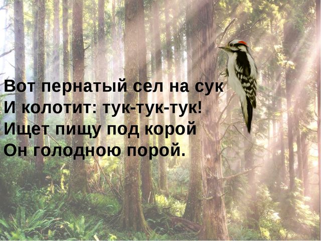Ознакомлению с окружающим миром. Царство животных