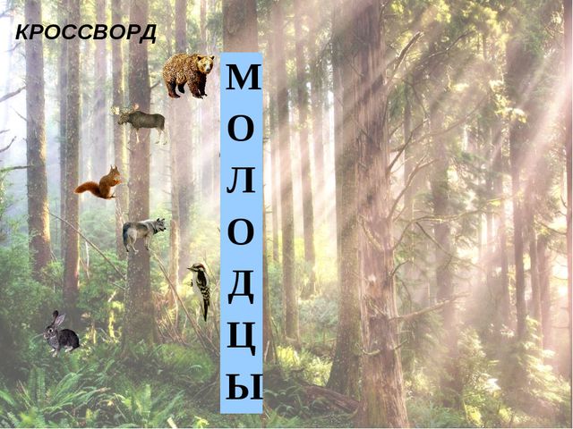 Ознакомлению с окружающим миром. Царство животных