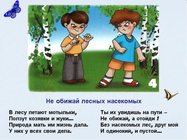 Животный мир леса. Презентация для дошкольников