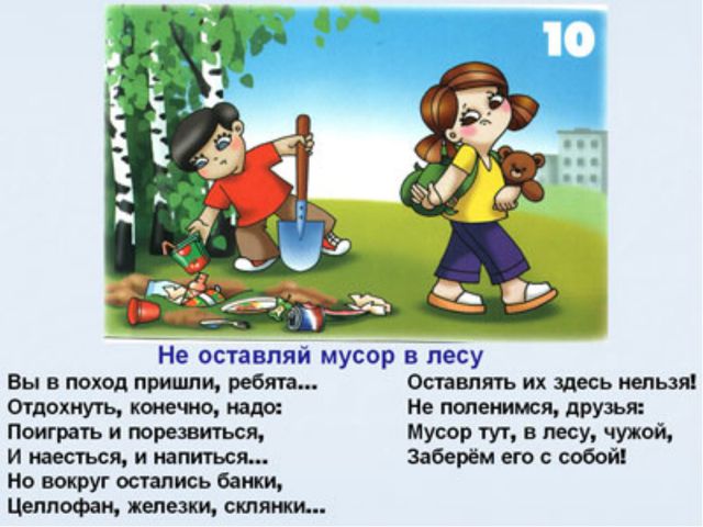 Животный мир леса. Презентация для дошкольников