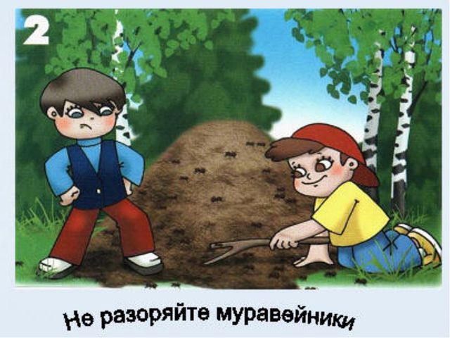 Животный мир леса. Презентация для дошкольников
