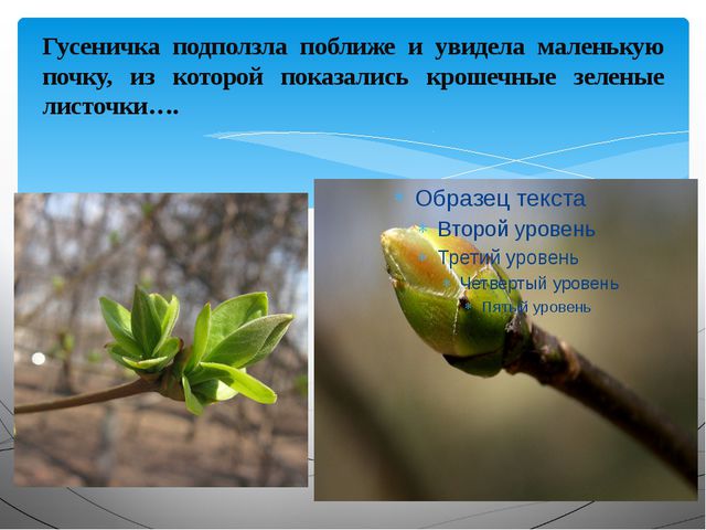 Какие краски у Весны? (познавательное развитие для младшего дошкольного возраста)