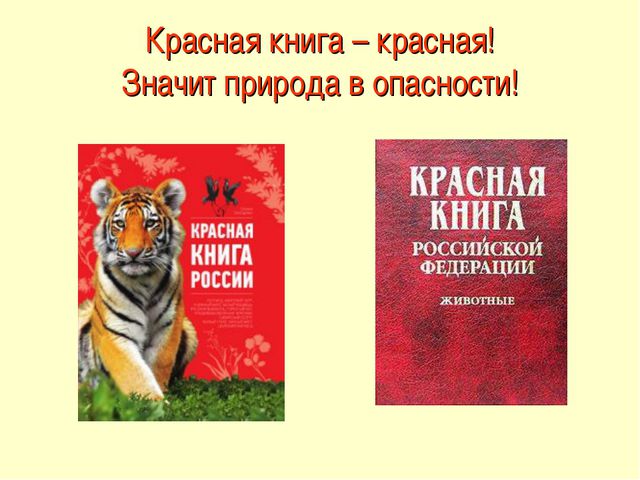 Красная книга. Презентация для детей