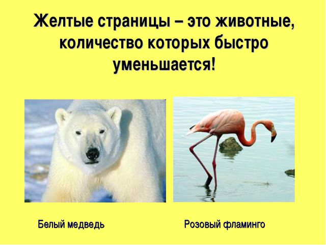 Красная книга. Презентация для детей