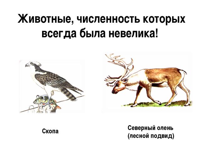 Красная книга. Презентация для детей