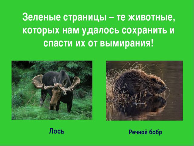 Красная книга. Презентация для детей