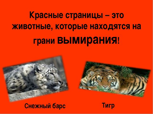 Красная книга. Презентация для детей