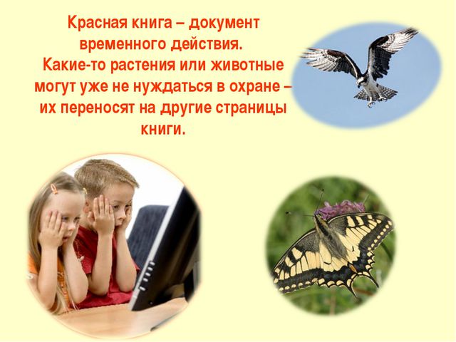 Красная книга. Презентация для детей
