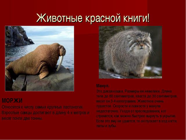 Красная книга. Презентация для детей