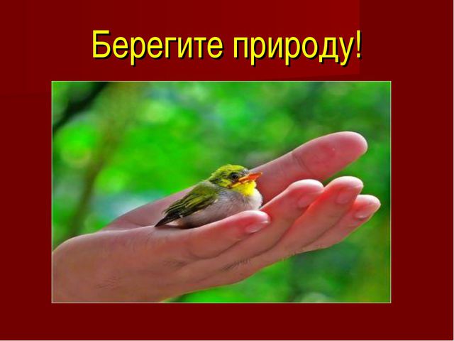 Красная книга. Презентация для детей