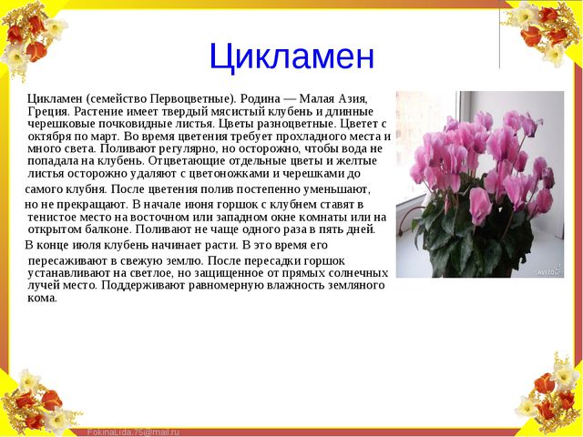 Паспорт комнатных растений