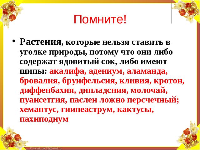 Паспорт комнатных растений