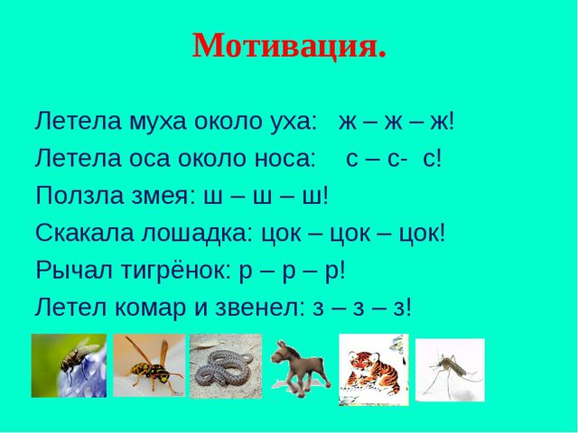 Летает не летает игра картинки