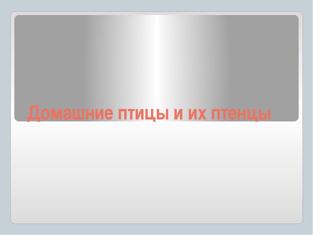 Домашние птицы и их птенцы. Презентация для детей