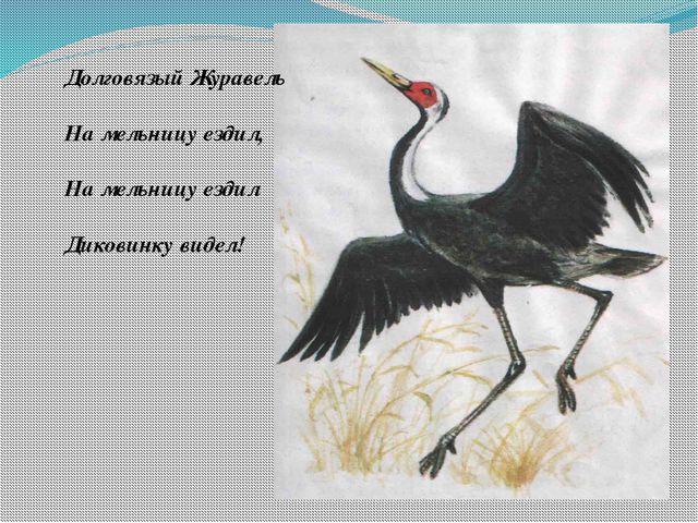 Сороки. Фольклорный праздник