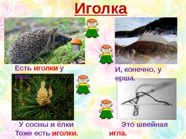 Многозначные слова. Презентация для дошкольников