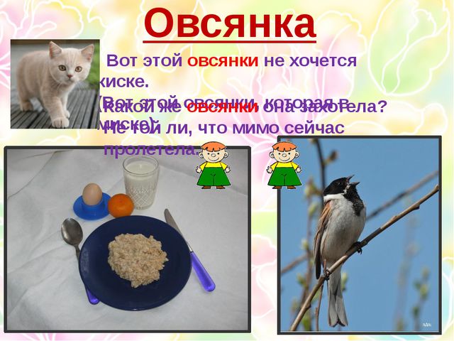 Многозначные слова. Презентация для дошкольников