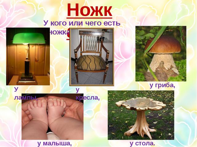 Многозначные слова. Презентация для дошкольников