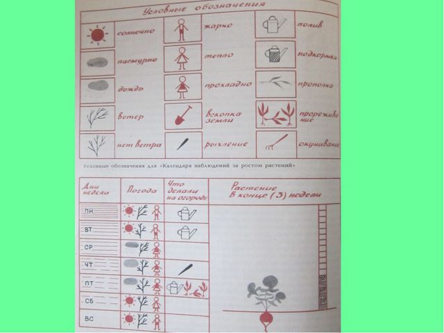 Календарь природы в детском саду