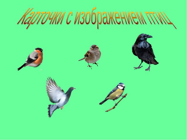 Календарь природы в детском саду