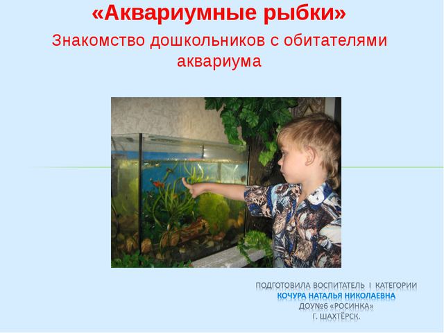 Аквариумные рыбки (знакомство дошкольников с обитателями аквариума)