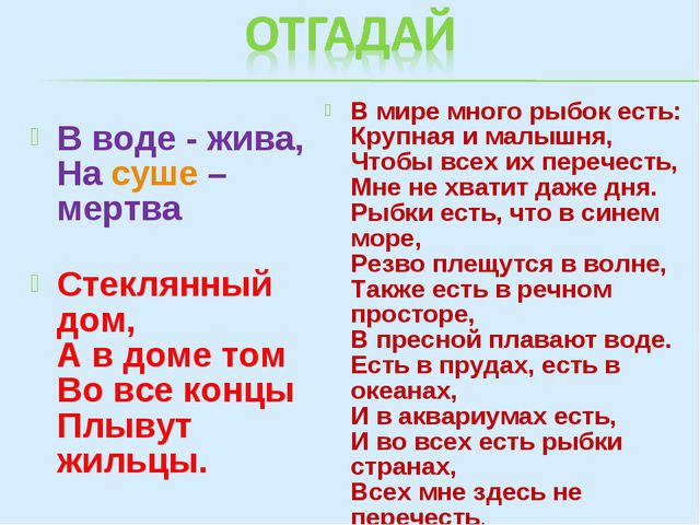 Аквариумные рыбки (знакомство дошкольников с обитателями аквариума)