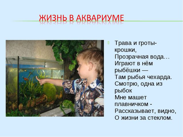 Аквариумные рыбки (знакомство дошкольников с обитателями аквариума)