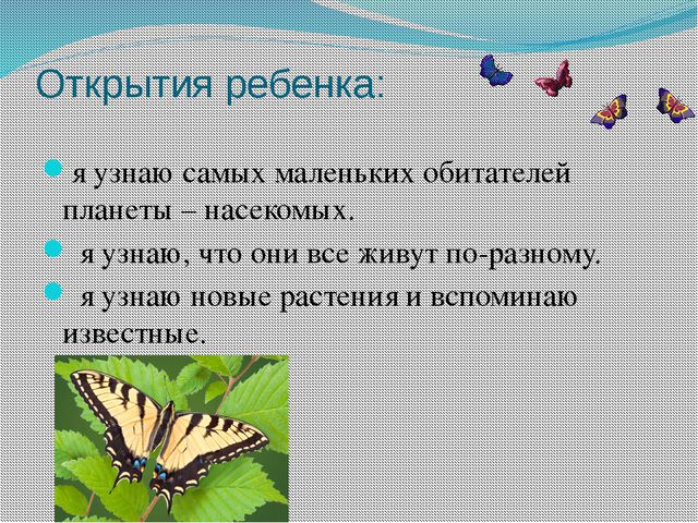Образовательные терренкуры