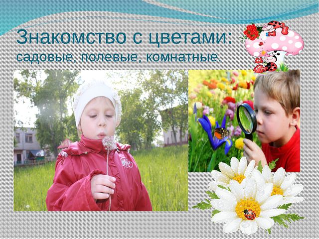 Образовательные терренкуры