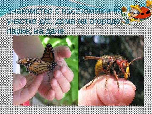 Образовательные терренкуры