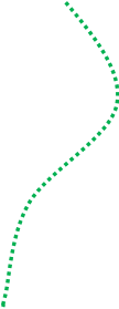 Shape48