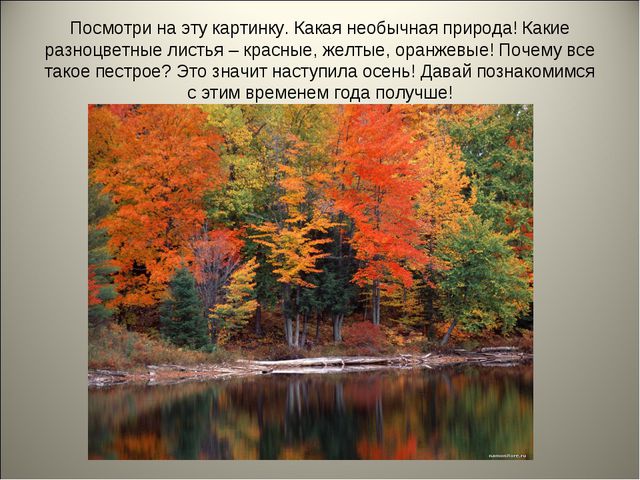 Признаки осени. Презентация для детей средней группы