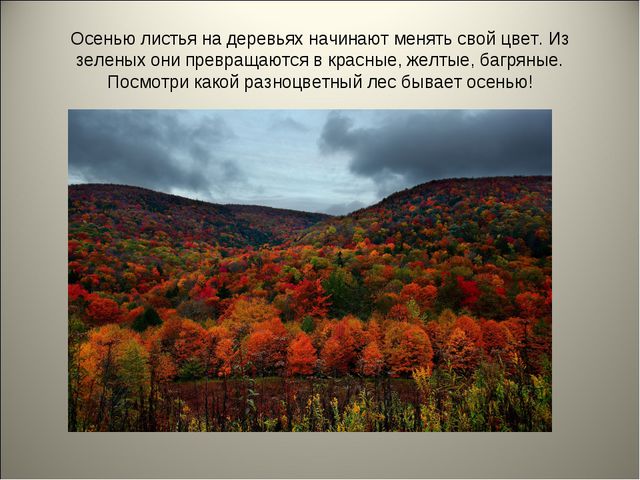 Признаки осени. Презентация для детей средней группы