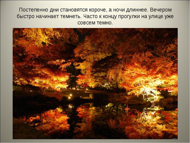 Признаки осени. Презентация для детей средней группы