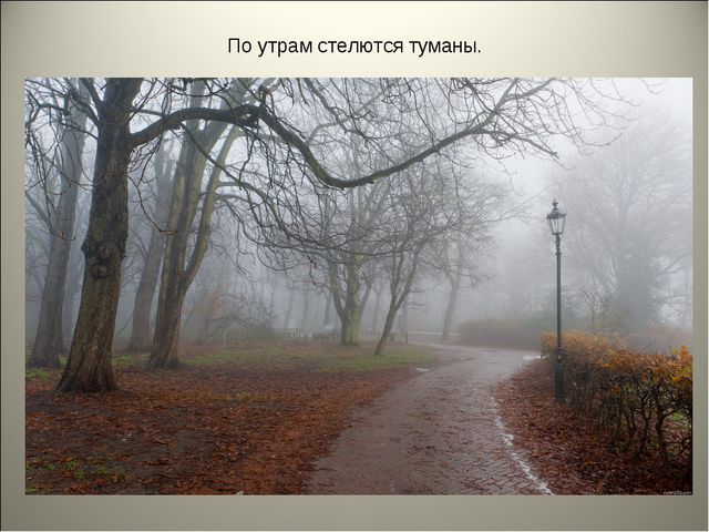 Признаки осени. Презентация для детей средней группы