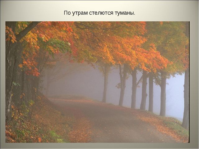 Признаки осени. Презентация для детей средней группы