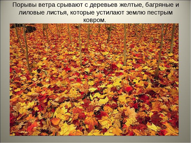 Признаки осени. Презентация для детей средней группы