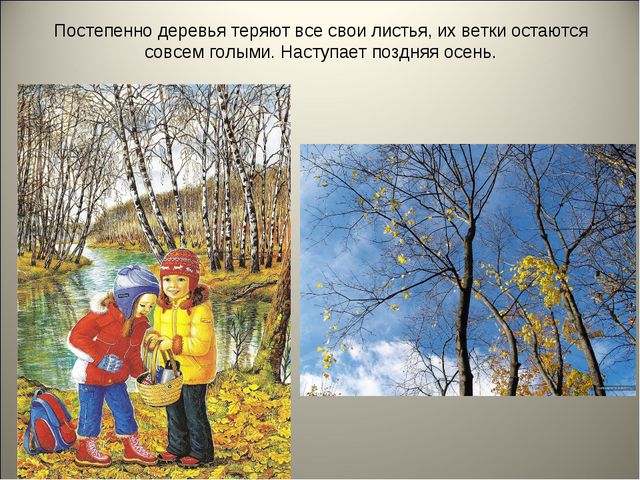 Признаки осени. Презентация для детей средней группы