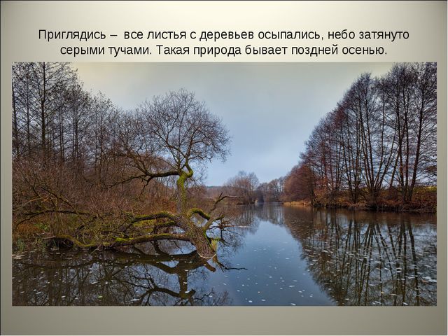 Признаки осени. Презентация для детей средней группы