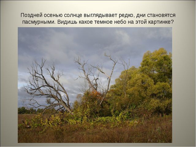 Признаки осени. Презентация для детей средней группы